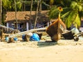 Ishing boats, tropical palm trees, bungalows and street life in Palolem beach